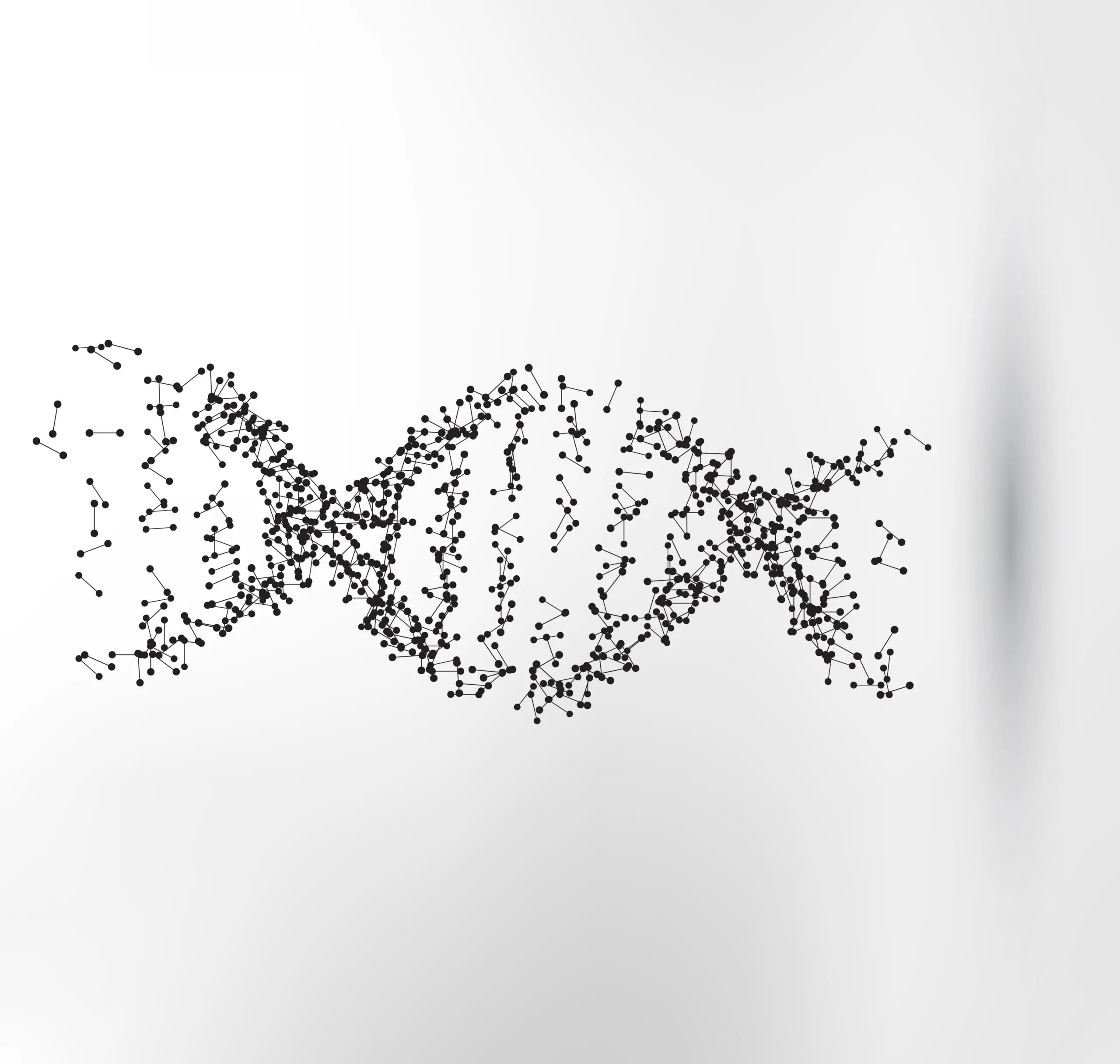 DNA streng sort med hvid baggrund